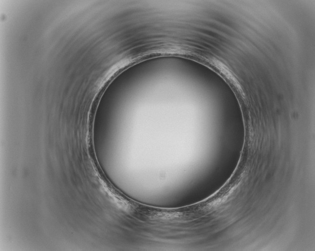 X0000087360845200705041853