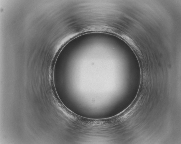 X0000087360846200705041853