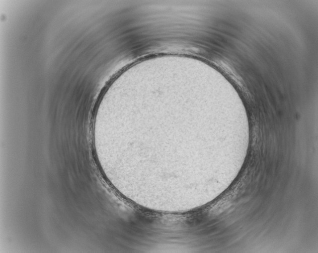 X0000087360848200705041853