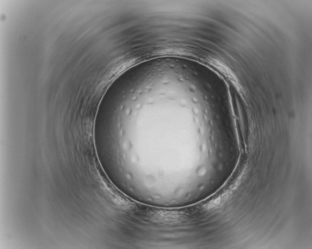 X0000087360849200705041853