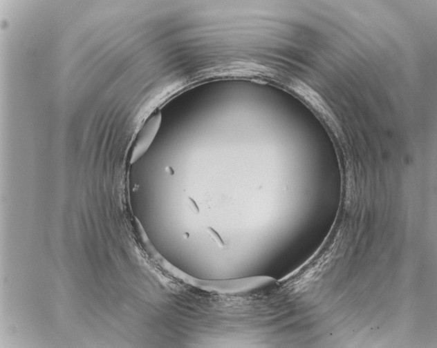 X0000087360850200705041853