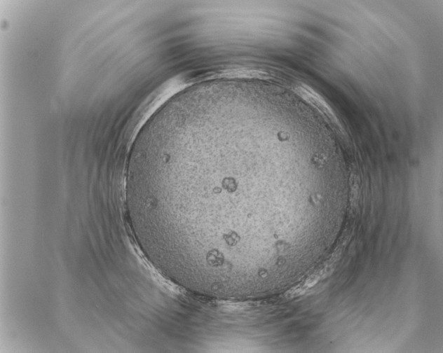 X0000087360852200705041853