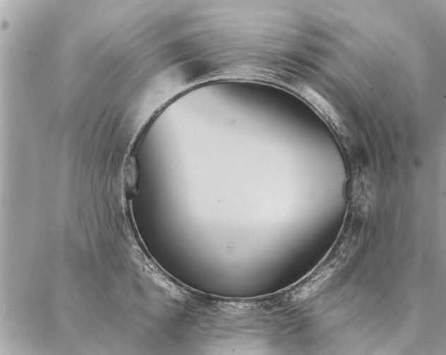 X0000087360854200705041853