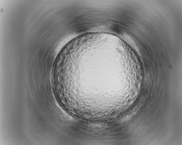 X0000087360855200705041853