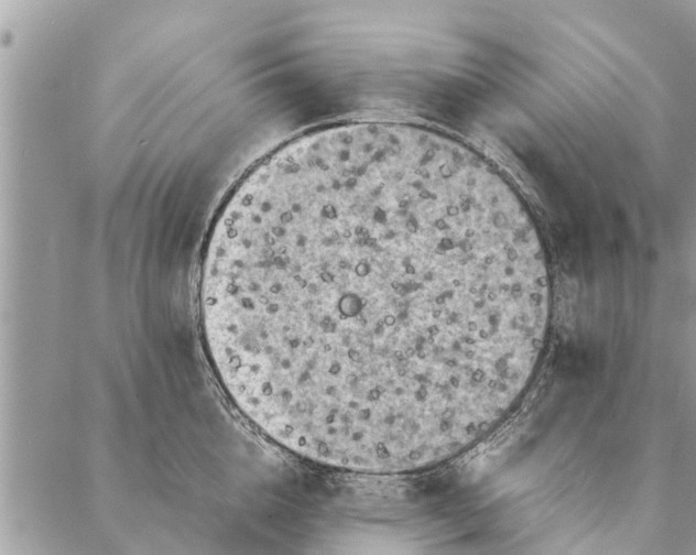 X0000087360856200705041853