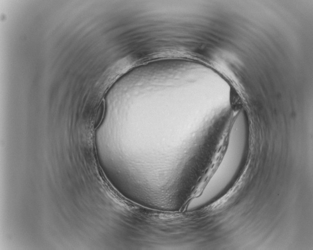 X0000087360857200705041853