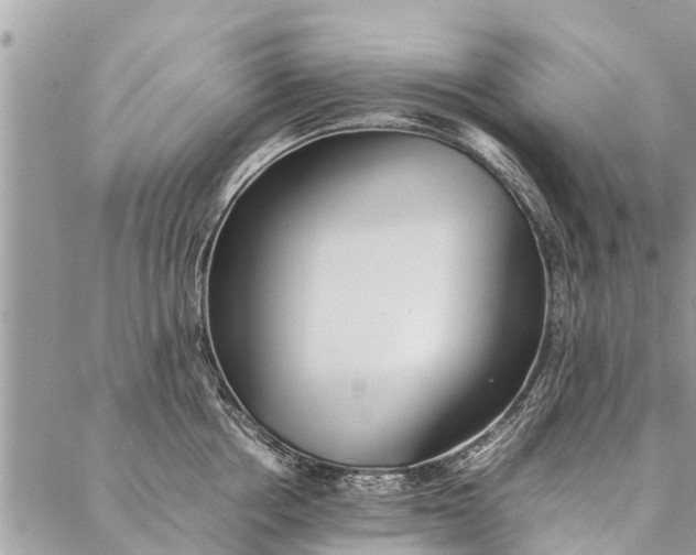 X0000087360858200705041853