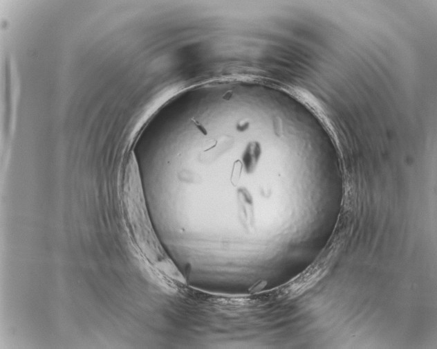 X0000087360859200705041853