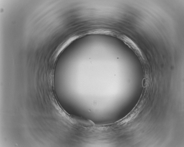 X0000087360860200705041853