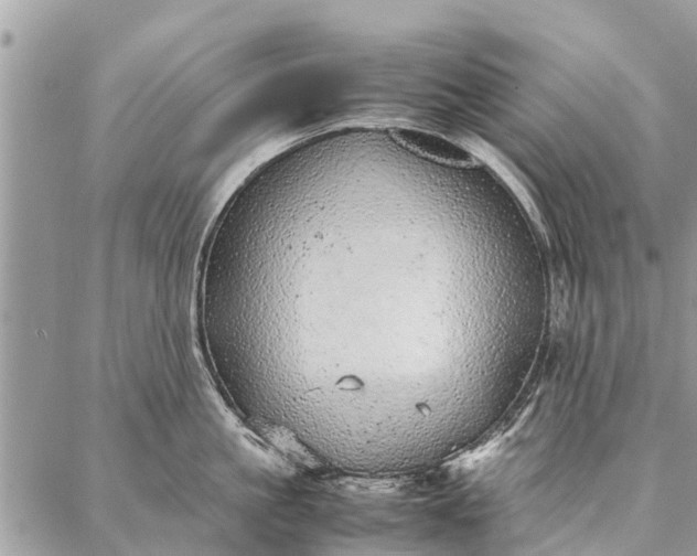 X0000087360861200705041853