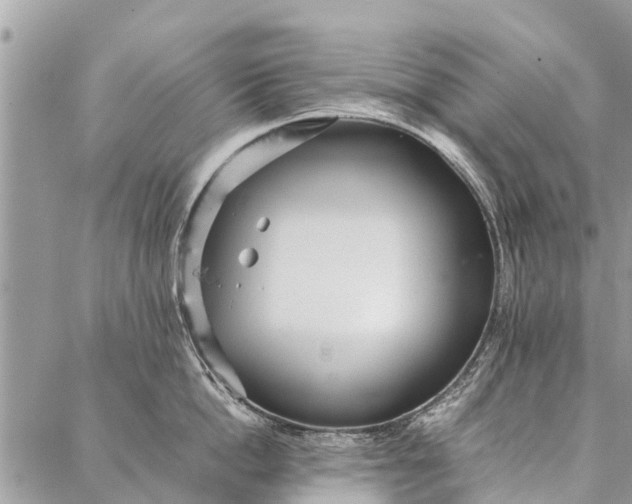 X0000087360862200705041853