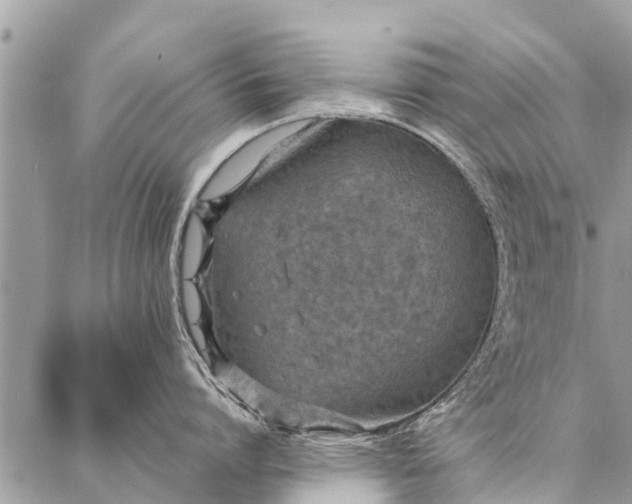 X0000087360864200705041853