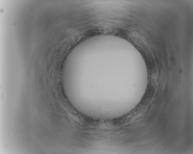 X0000087360865200705041853