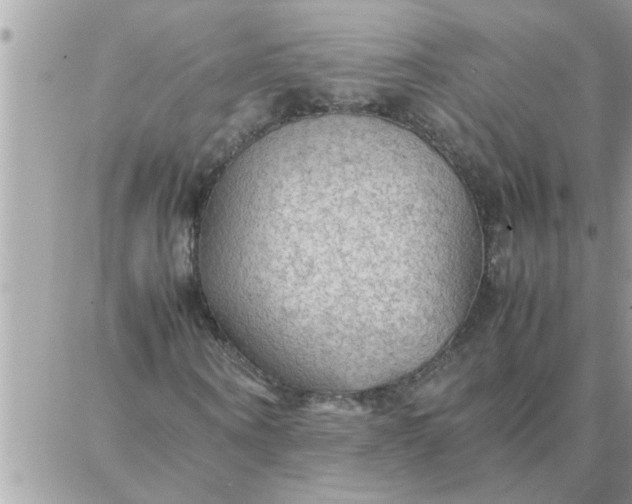 X0000087360866200705041853