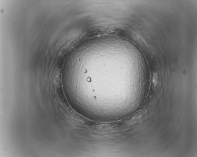 X0000087360867200705041853