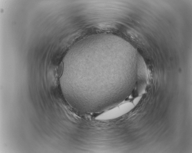 X0000087360868200705041853