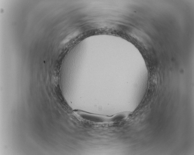 X0000087360869200705041853