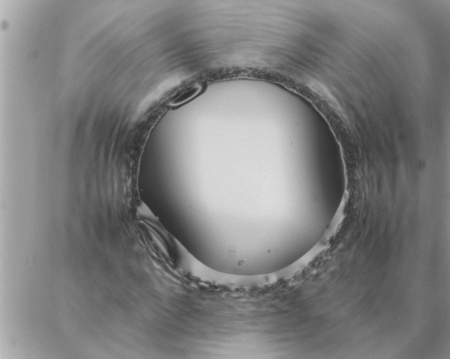 X0000087360872200705041853