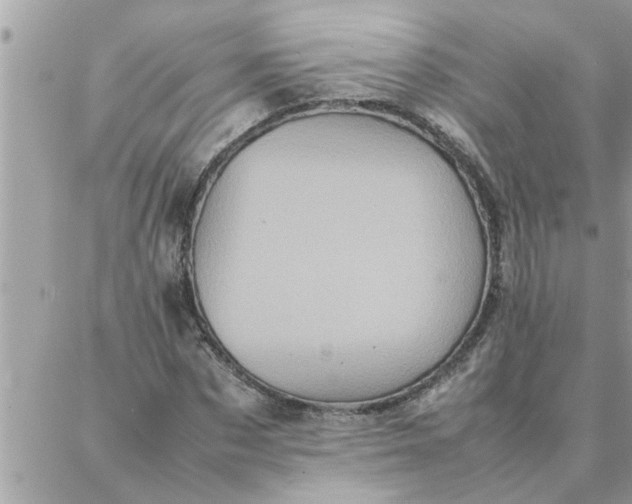 X0000087360873200705041852