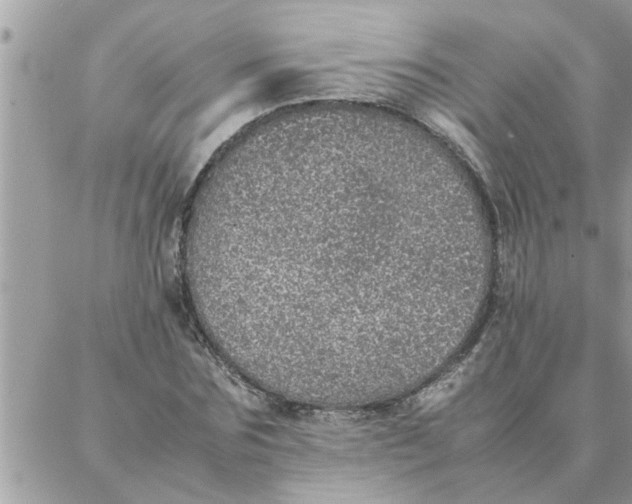 X0000087360875200705041852