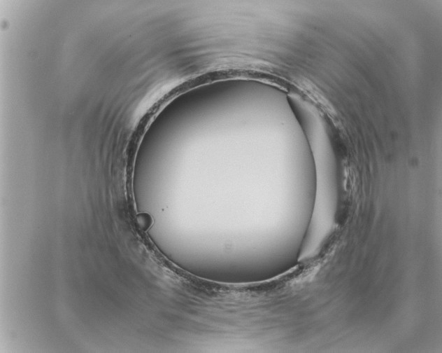 X0000087360877200705041852