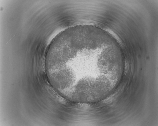 X0000087360878200705041852