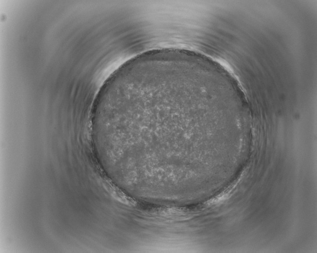 X0000087360879200705041852