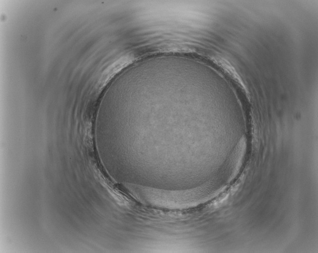 X0000087360881200705041852