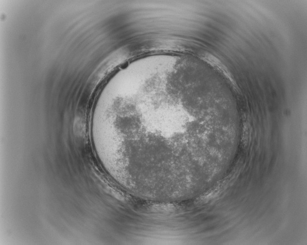 X0000087360882200705041852