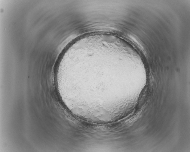 X0000087360883200705041852