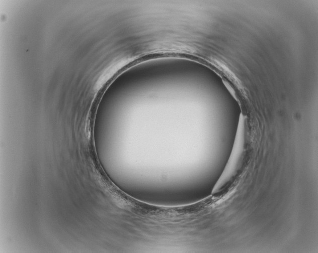 X0000087360885200705041852