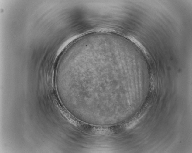 X0000087360886200705041852