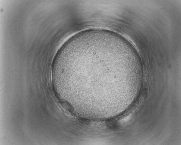 X0000087360887200705041852