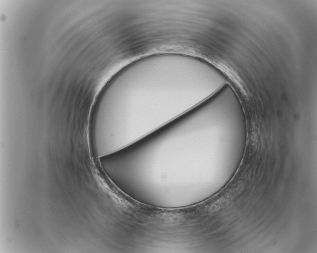 X0000087360888200705041852