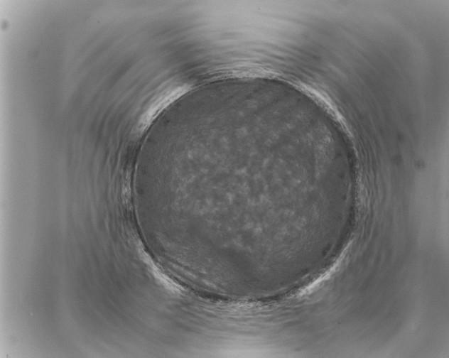 X0000087360889200705041852