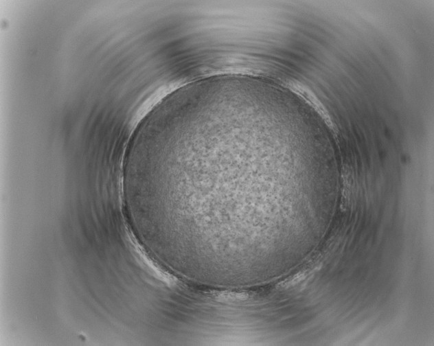 X0000087360890200705041852