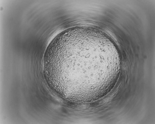 X0000087360891200705041852