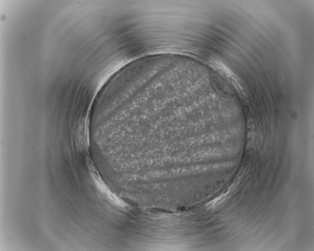 X0000087360892200705041852