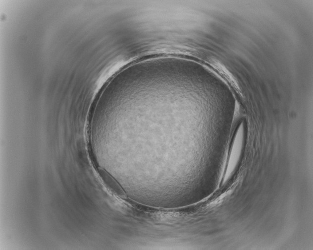 X0000087360893200705041852