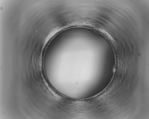 X0000087360894200705041852