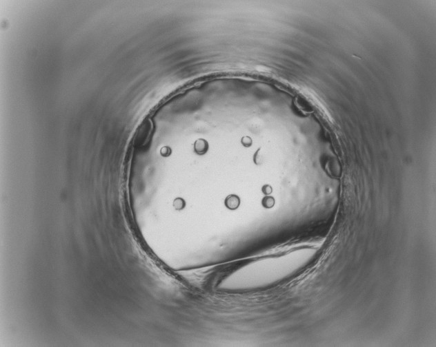 X0000087360895200705041852