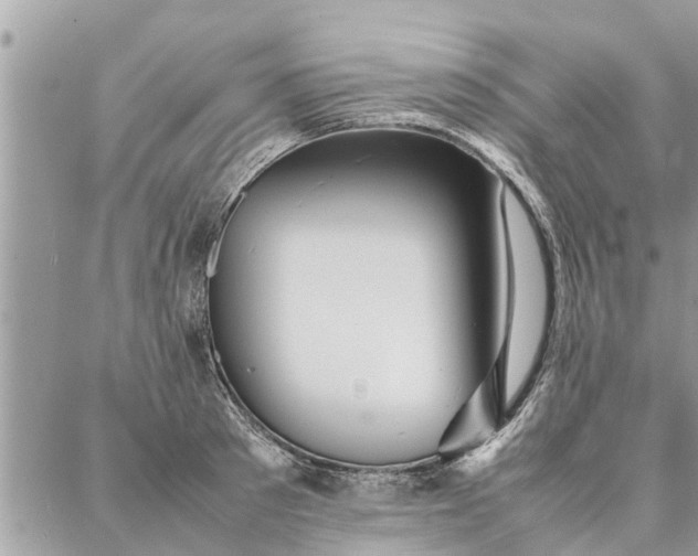 X0000087360897200705041852