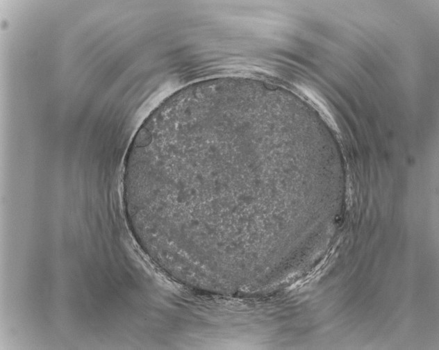 X0000087360899200705041852