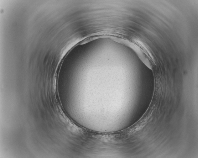 X0000087360900200705041852