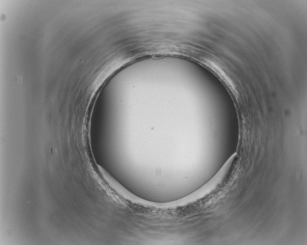 X0000087360901200705041852