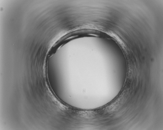 X0000087360902200705041852