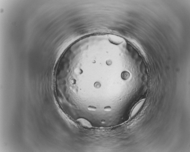 X0000087360903200705041852