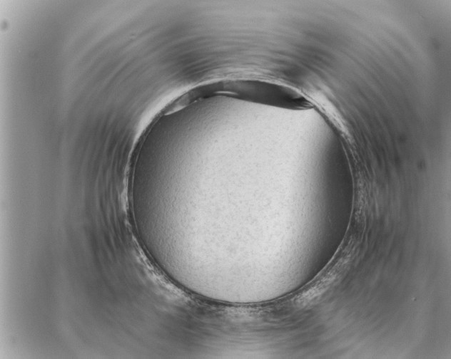 X0000087360904200705041852