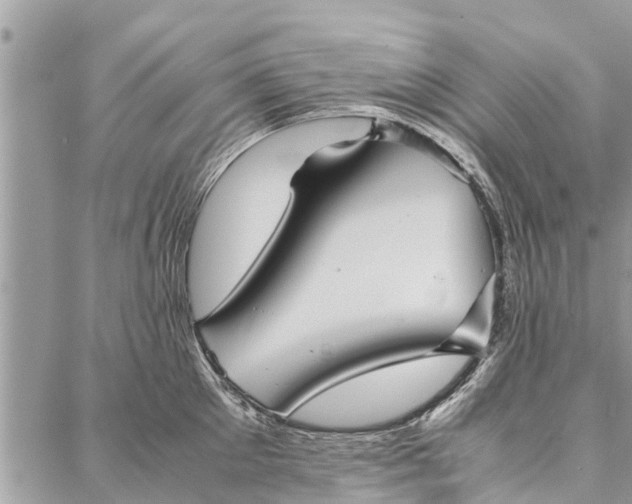 X0000087360905200705041852