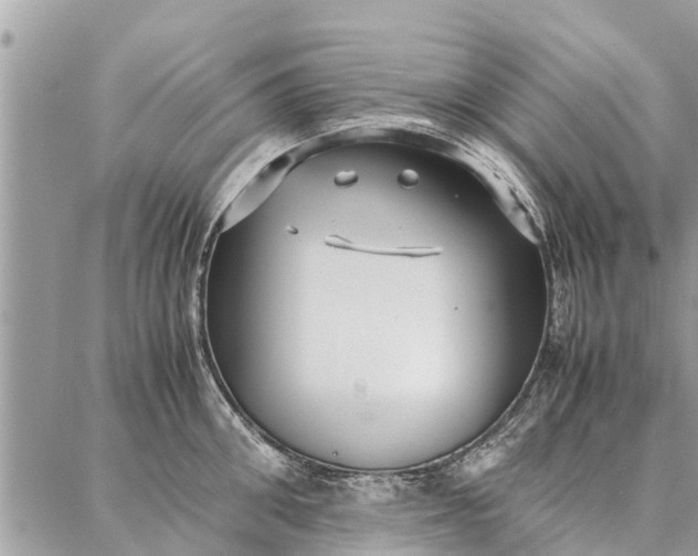 X0000087360906200705041852